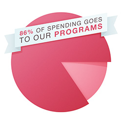 Pie_chart
