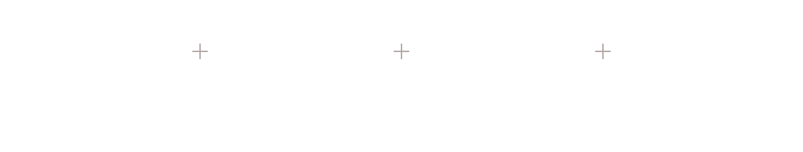 pluses